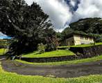 3330 Kalihi Street - Photo 7