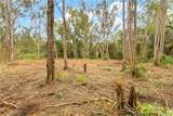 Parcel 49 Alapio Road - Photo 14