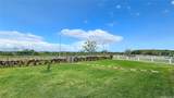 91-1747 Mee Street - Photo 4