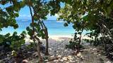 68-101 Waialua Beach Road - Photo 12