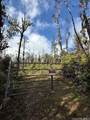 11-3007 Pikake Street - Photo 18