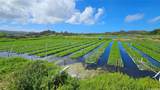 56-1081 Kamehameha Highway - Photo 2