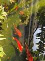 300 Wai Nani Way - Photo 25