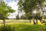 57-101 Kuilima Drive - Photo 1