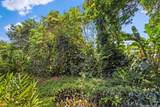 51-636 Kamehameha Highway - Photo 14