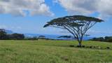 0000 Plantation Road - Photo 1