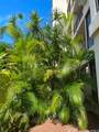 3138 Waialae Avenue - Photo 13