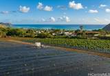 85-1570 Waianae Valley Road - Photo 3