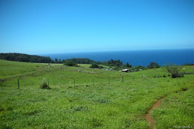 36-3360 Kuwili Lani Place - Photo 1