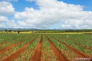 64-1550 Kamehameha Highway - Photo 1