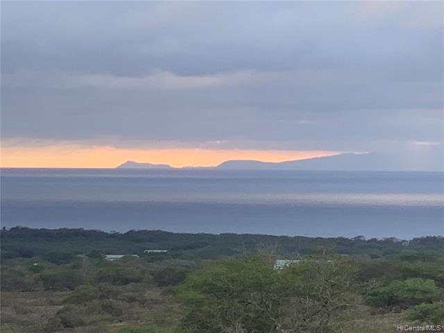 768 Pa Loa Loop - Photo 1