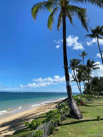 53-567 Kamehameha Highway - Photo 1