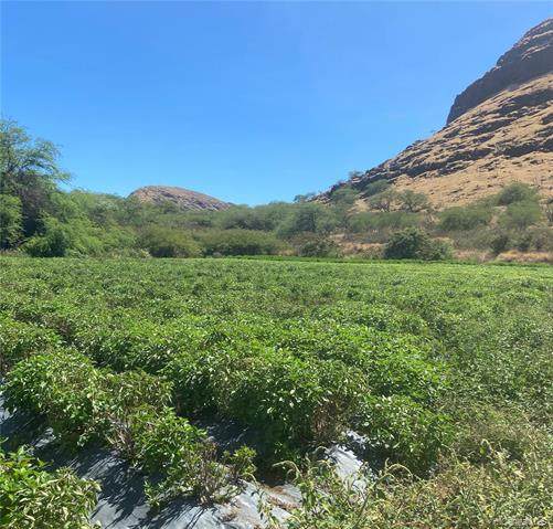 86-449 Puuhulu Road - Photo 1