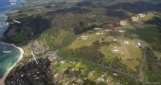 58-248 Kamehameha Highway - Photo 1