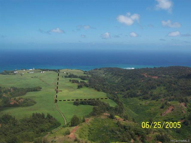 58-248 Kamehameha Highway - Photo 1