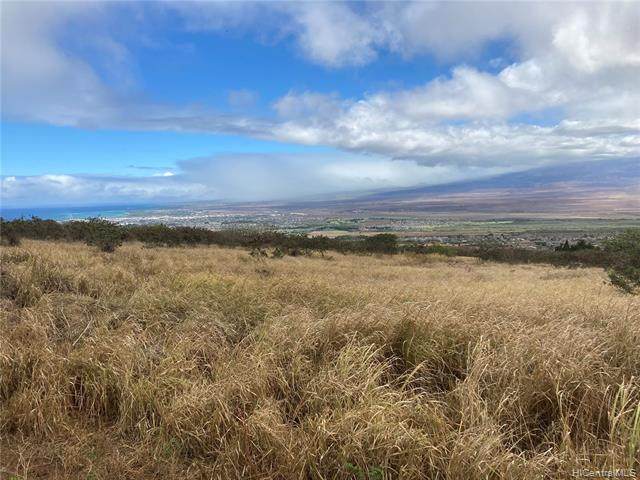 440 Waiko Road - Photo 1