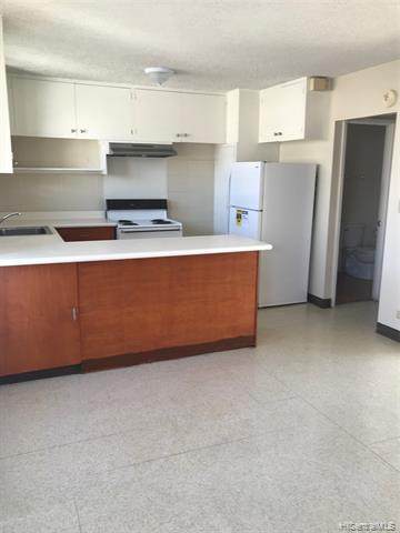 1409 Kinau Street - Photo 1