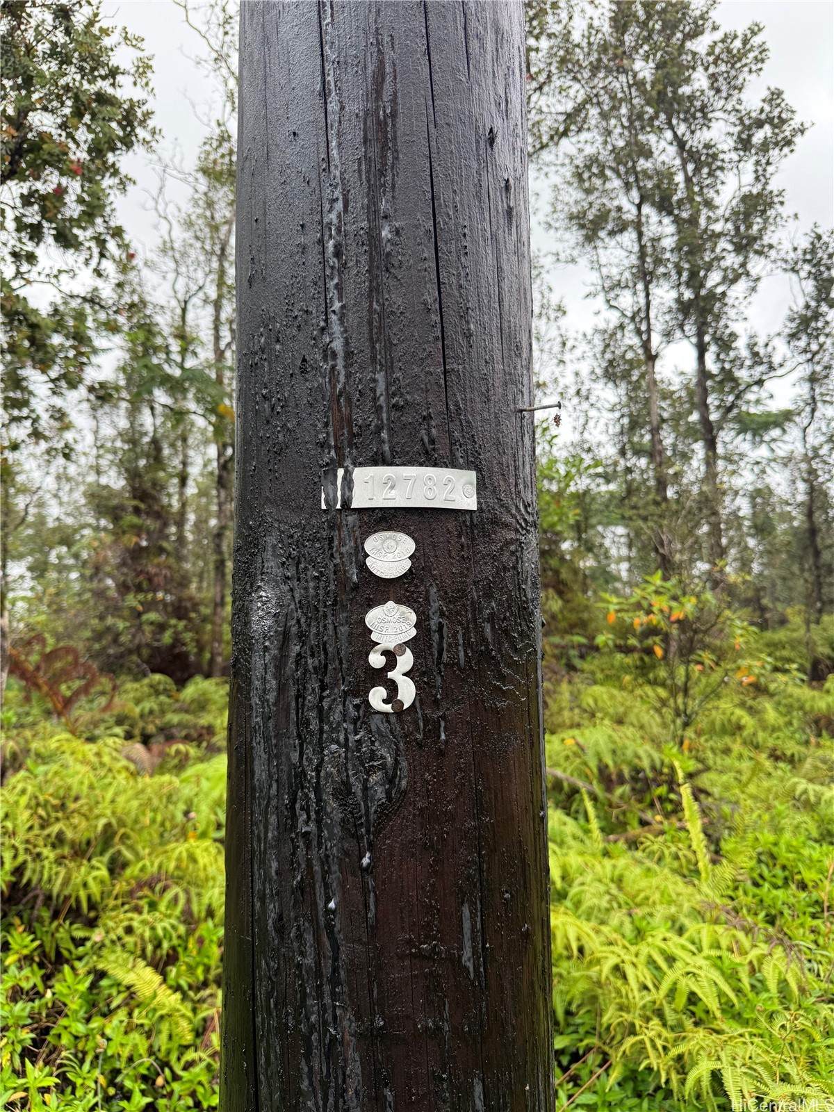 https://bt-photos.global.ssl.fastly.net/honolulu/1280_boomver_1_202605789-2.jpg