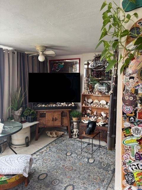https://bt-photos.global.ssl.fastly.net/honolulu/orig_boomver_1_202607581-2.jpg