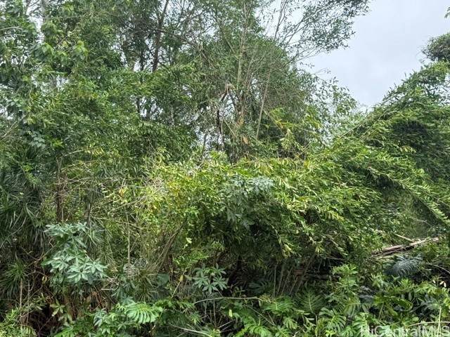 15-716 Puni Mauka Loop - Photo 1