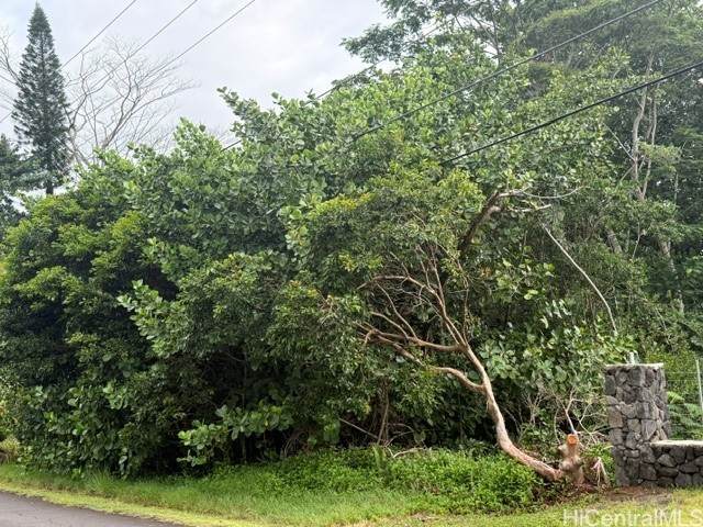 https://bt-photos.global.ssl.fastly.net/honolulu/orig_boomver_1_202610097-2.jpg