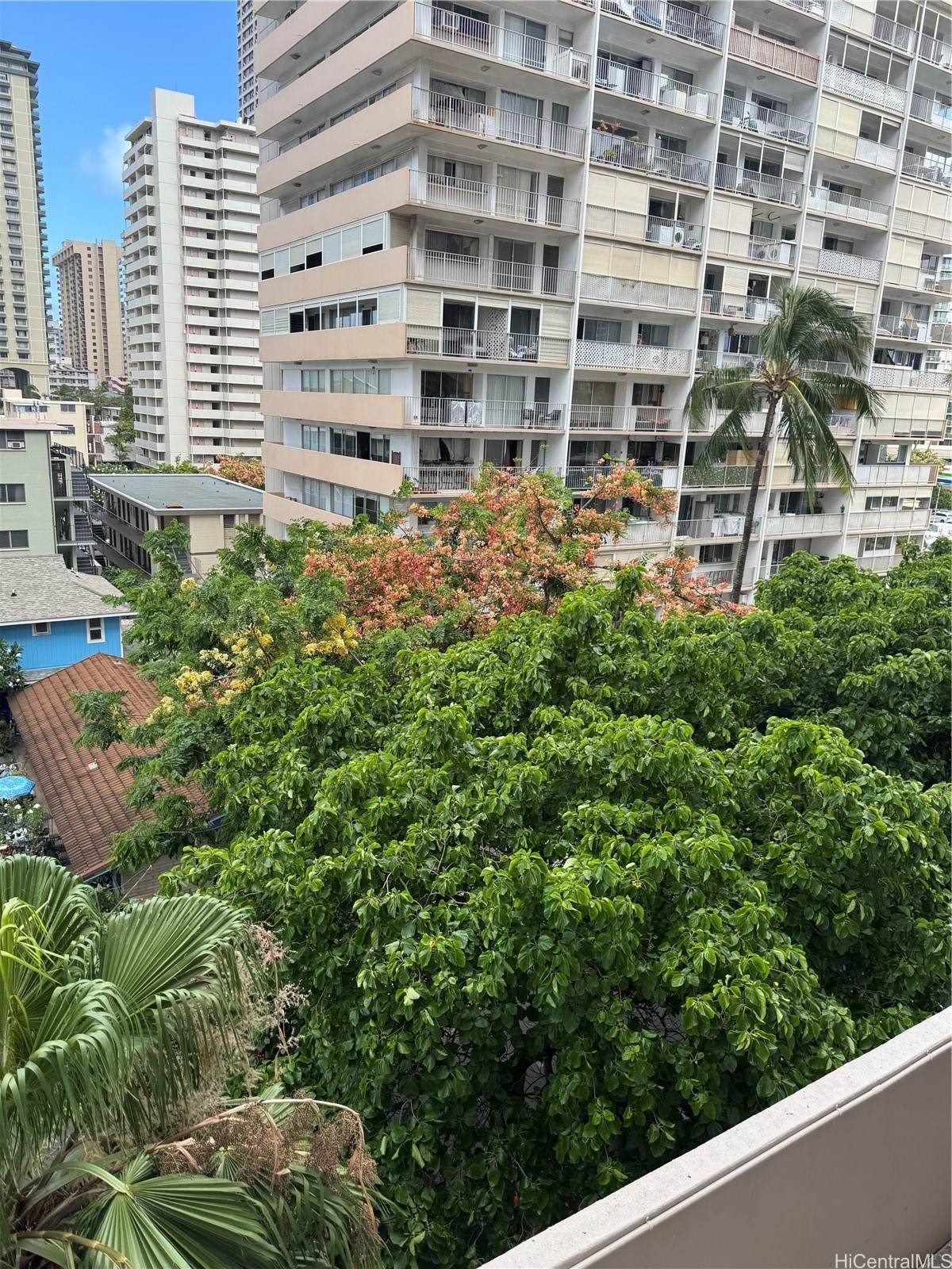 430 Keoniana Street - Photo 1