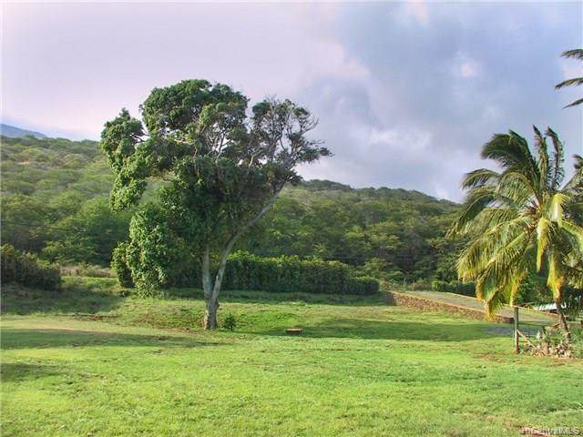 0 Kamehameha V Highway - Photo 1