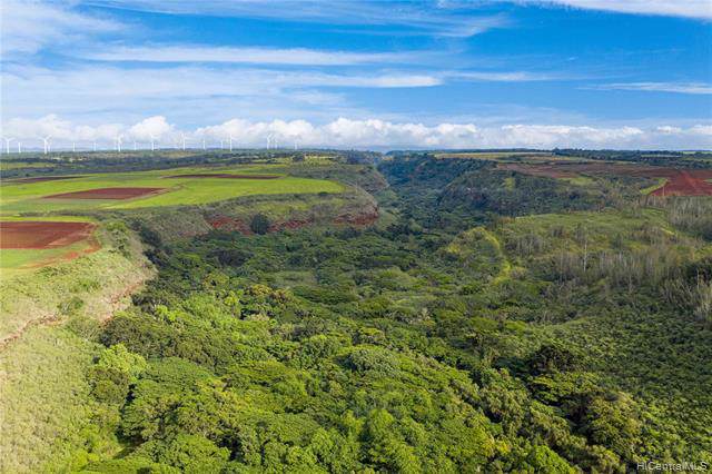 0000 Kamehameha Highway - Photo 1