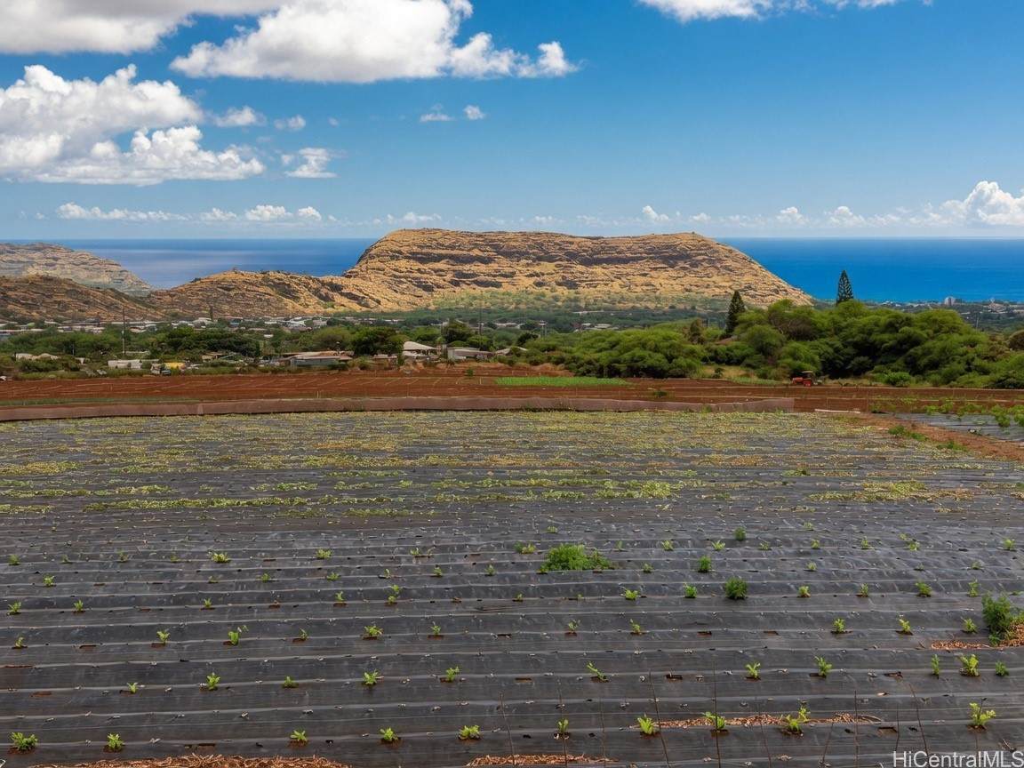 https://bt-photos.global.ssl.fastly.net/honolulu/orig_boomver_3_202611556-2.jpg