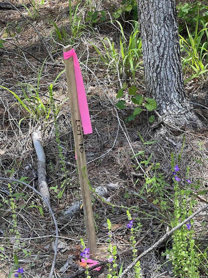 XX lot 10 Castle - Photo 1