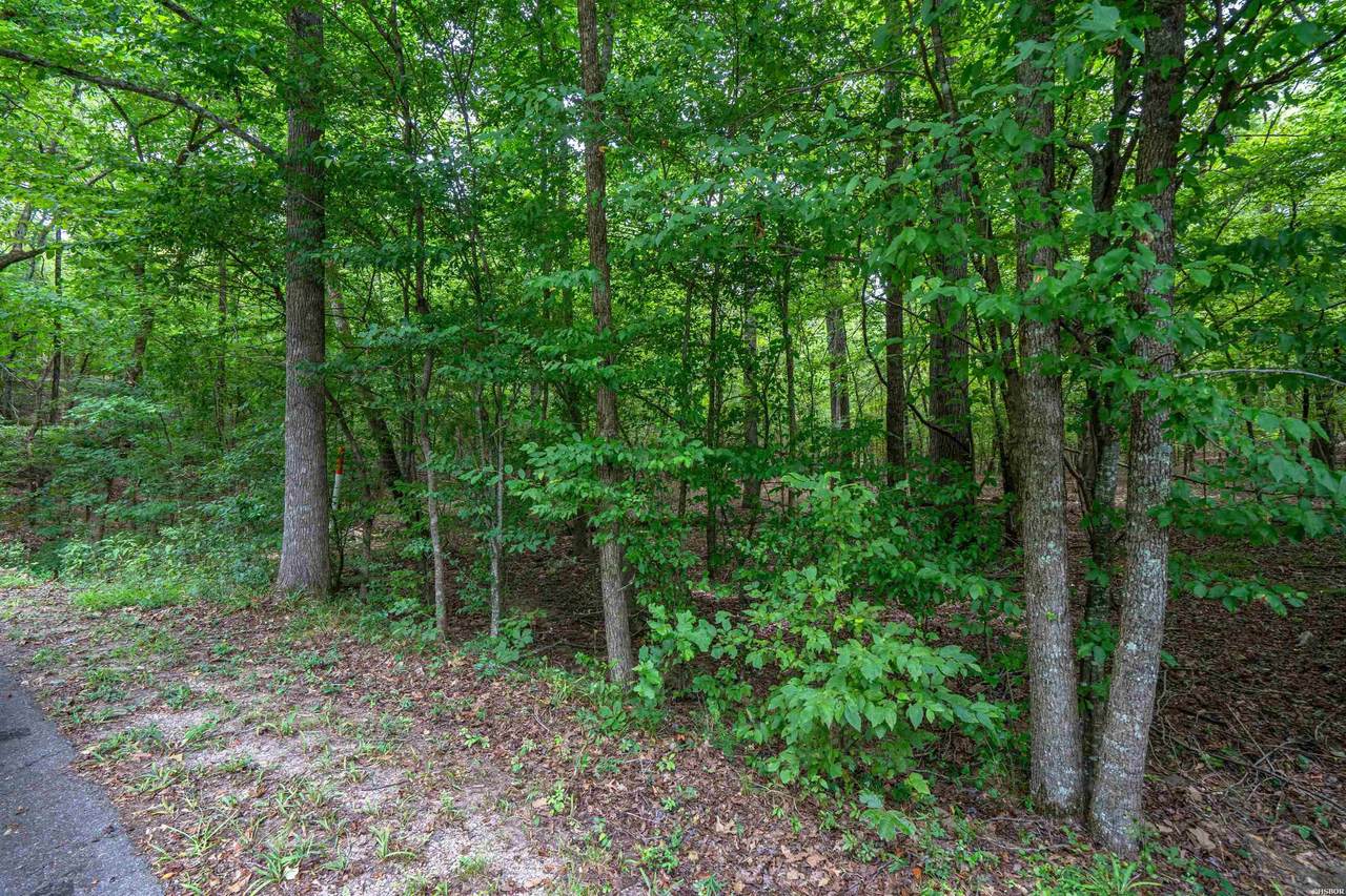 Lot 27 Deer Run - Photo 1