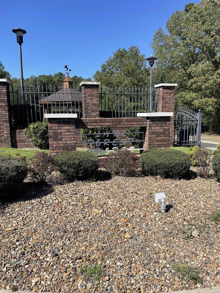 LOT 6 Lake Forest Shores - Photo 1