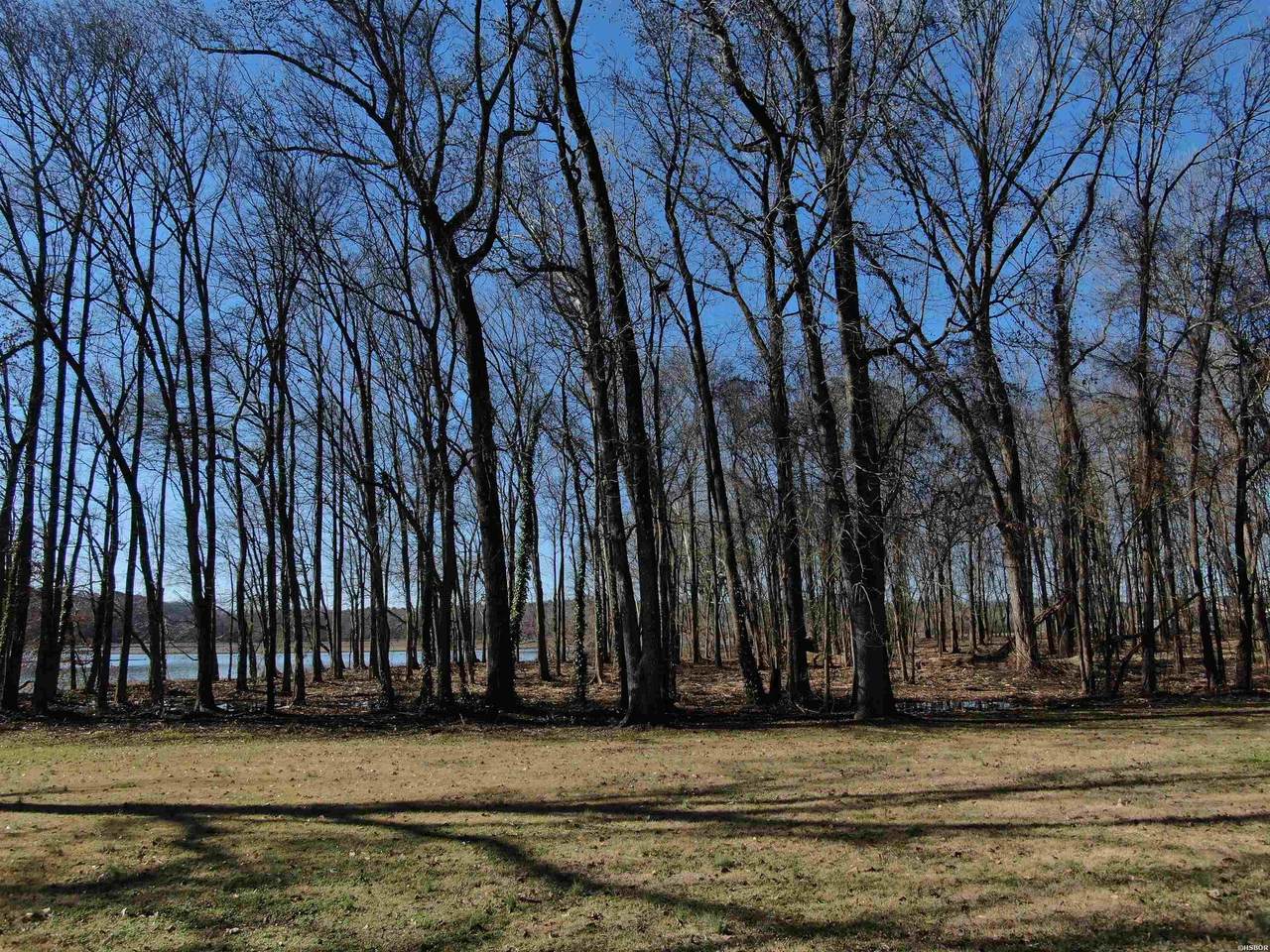 xxx Rivermist Point - Photo 1