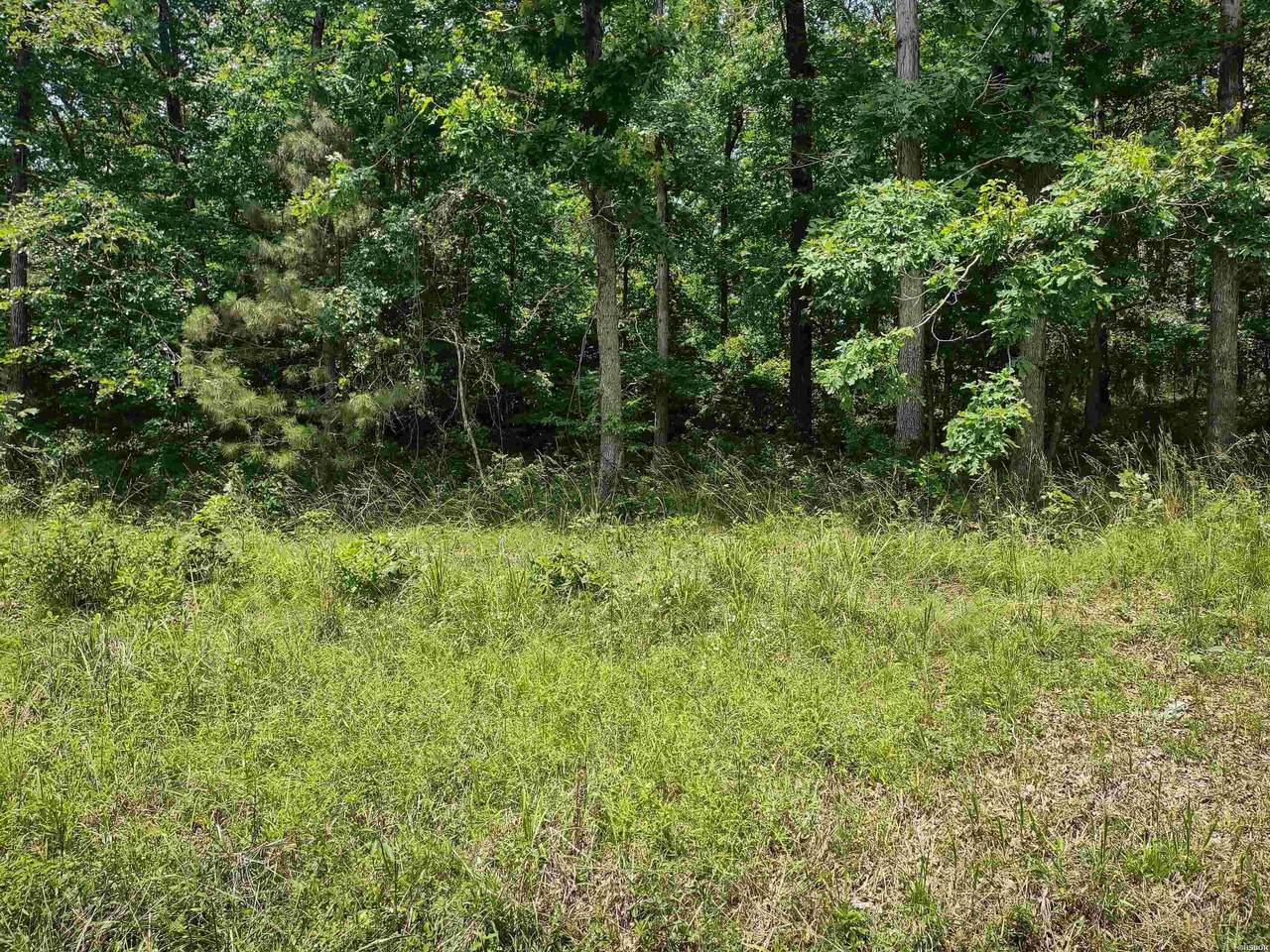 Lot 2396 Diamondhead Drive - Photo 1