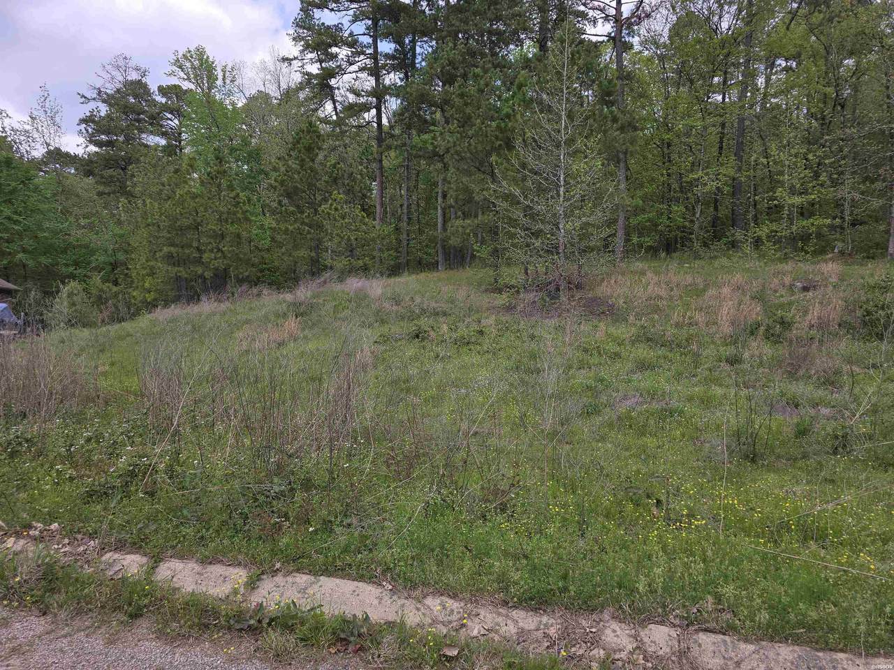 Lot 15 Blue Moon Terrace - Photo 1