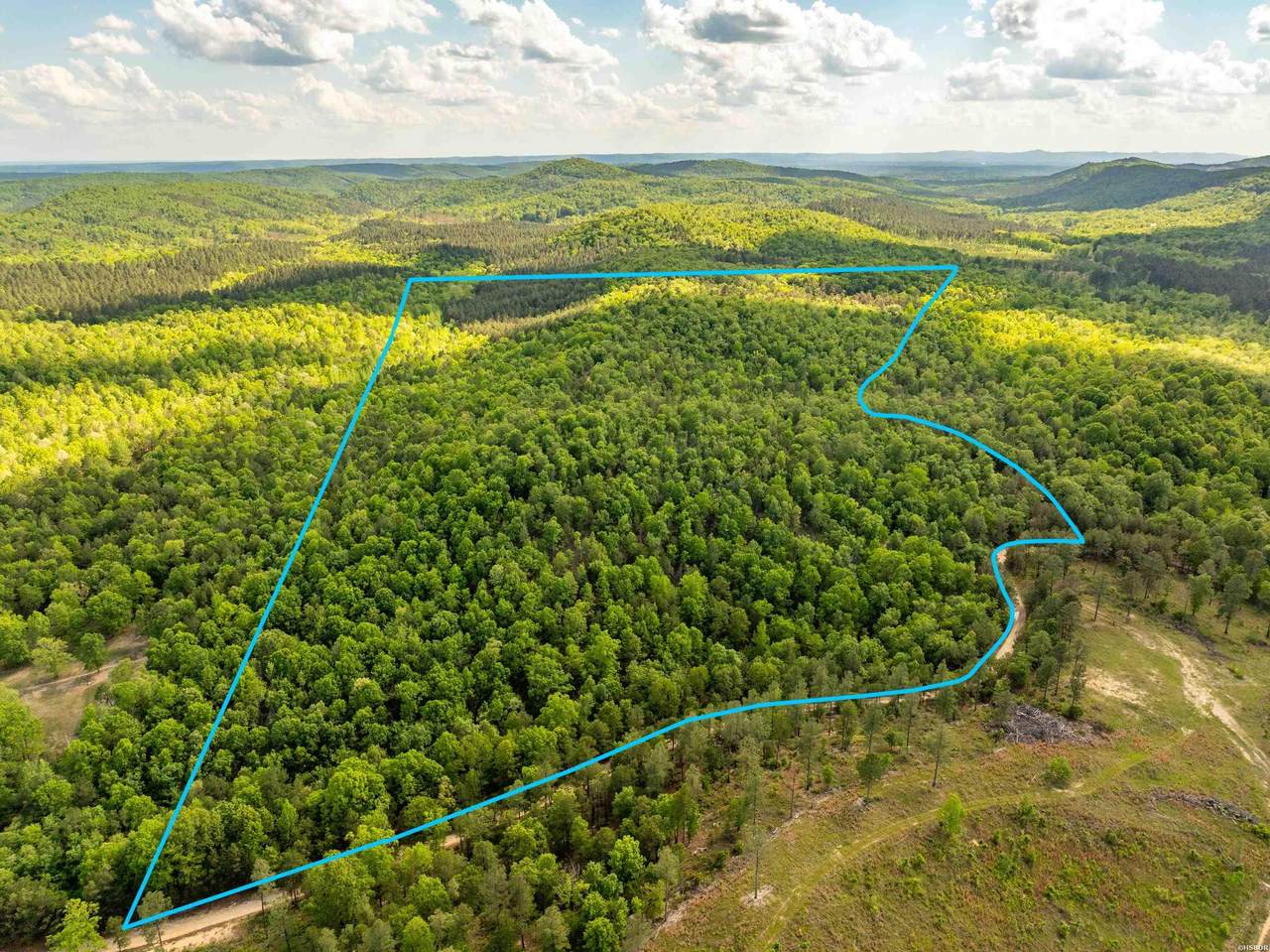 RPID   115120 Cedar Creek Road - Photo 1