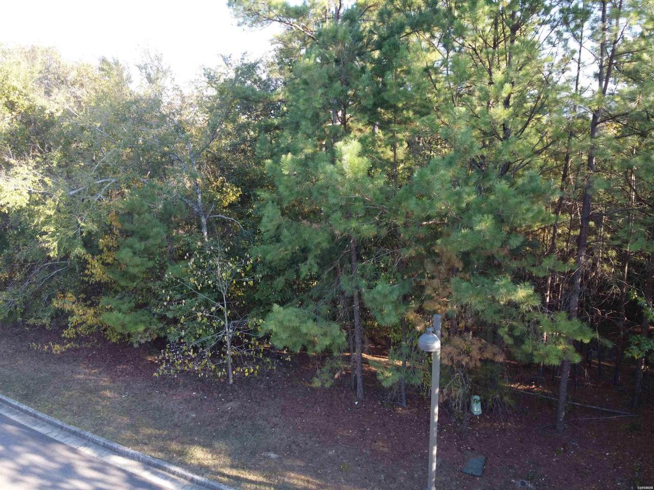 000 Dellmere - Photo 1