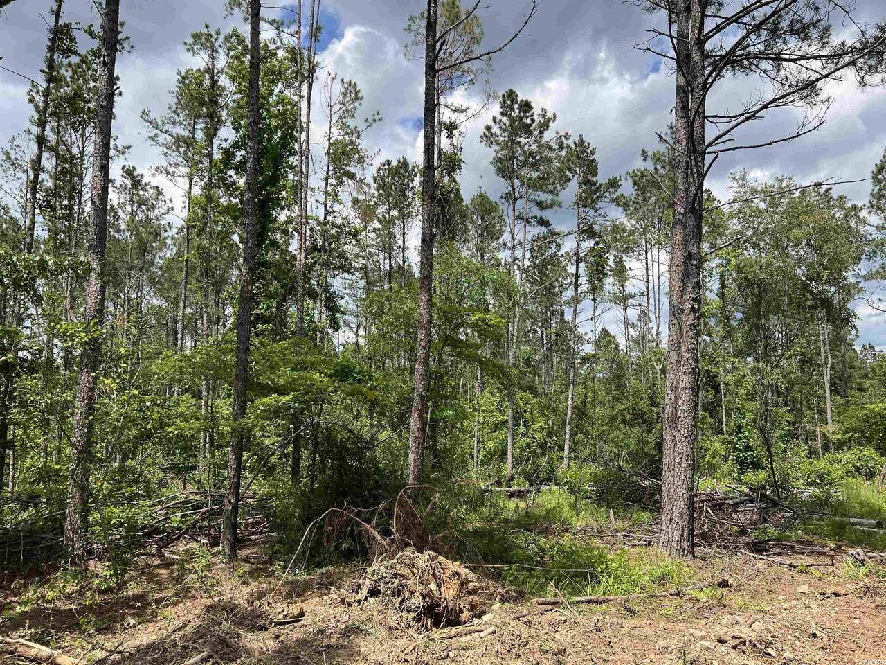 xx Hwy 369 - Photo 1