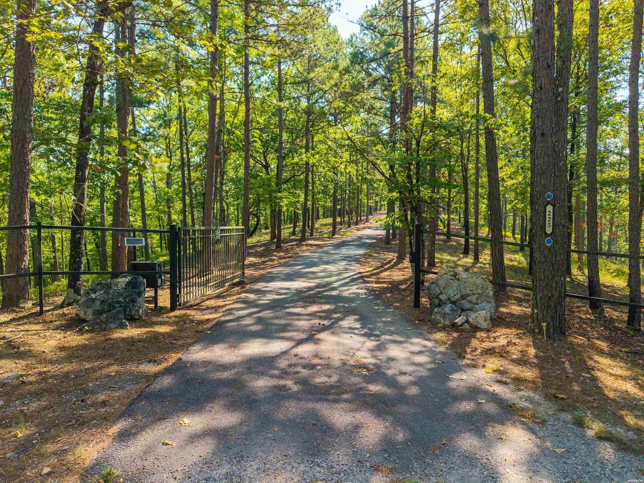 225 Creators - Photo 1