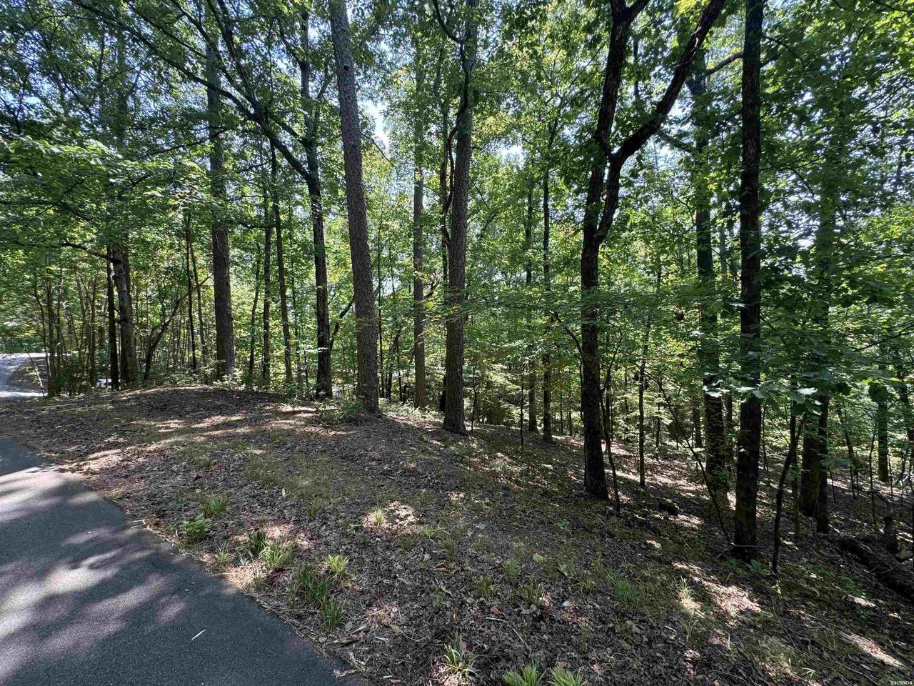 TBD Empinado Way - Photo 1