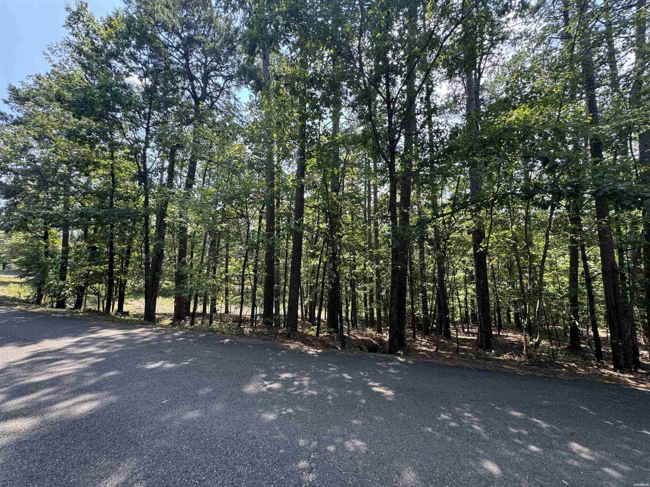 TBD Albacete Way - Photo 1