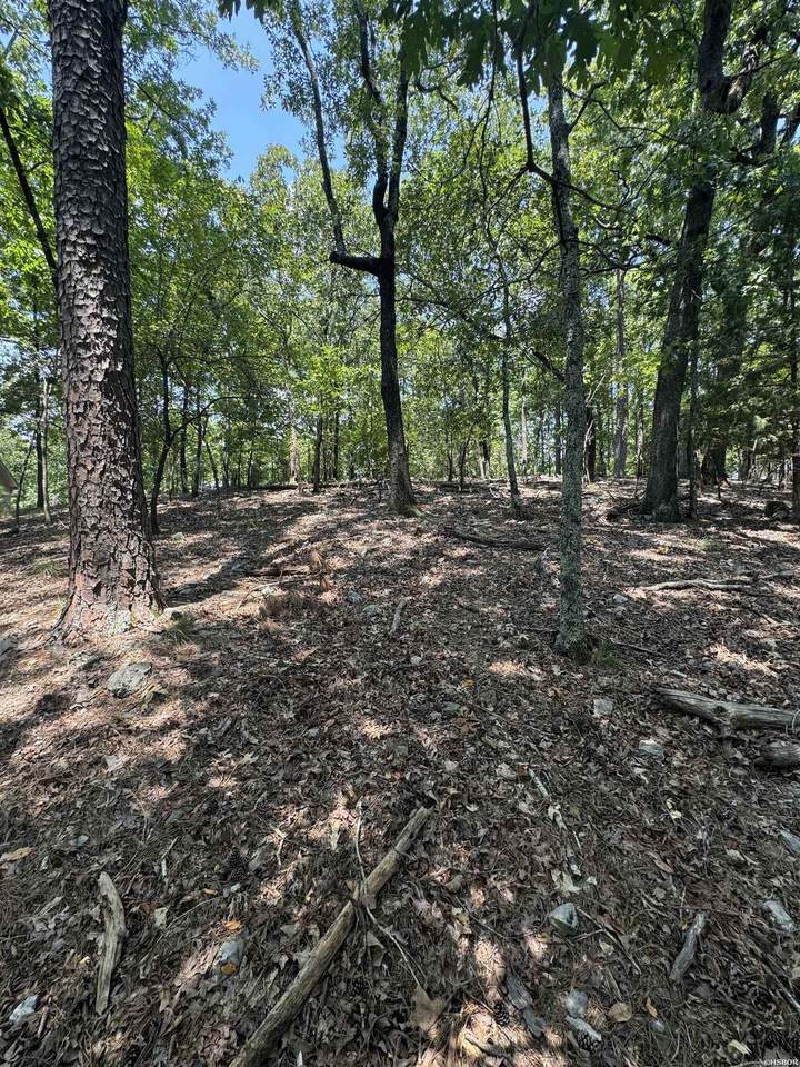 TBD Sur Way - Photo 1