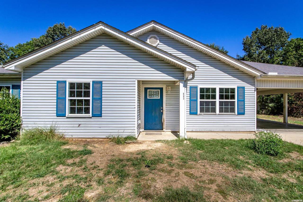 883 Ozark Loop - Photo 1