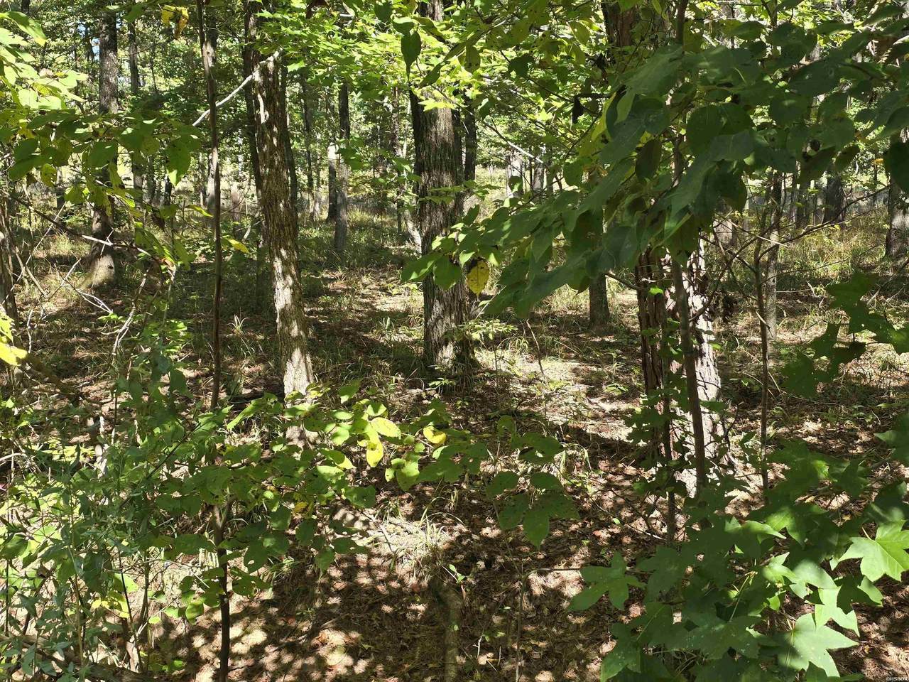 Lot 413 Plum Hollow - Photo 1