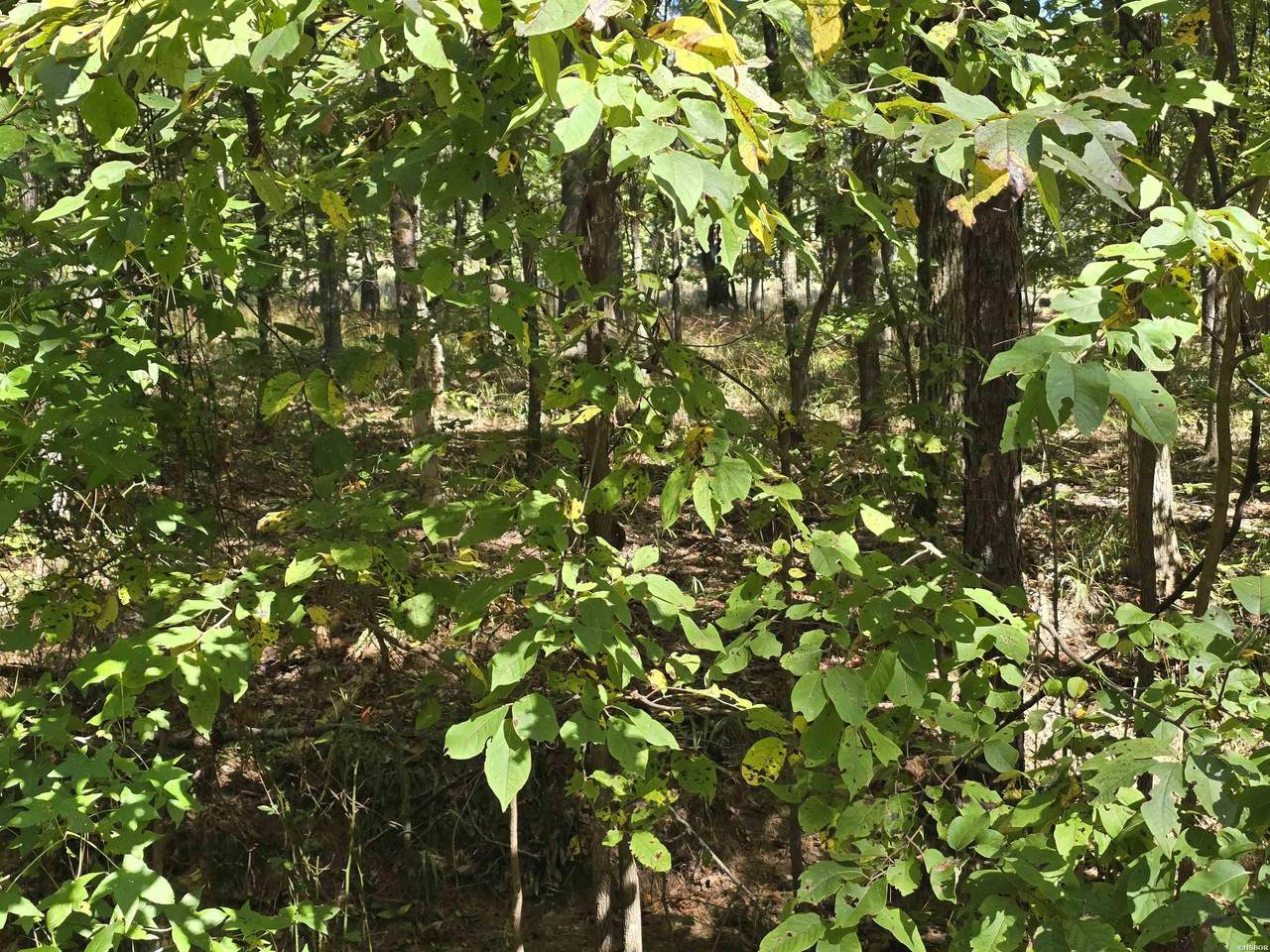 https://bt-photos.global.ssl.fastly.net/hotsprings/1280_boomver_1_152856-2.jpg