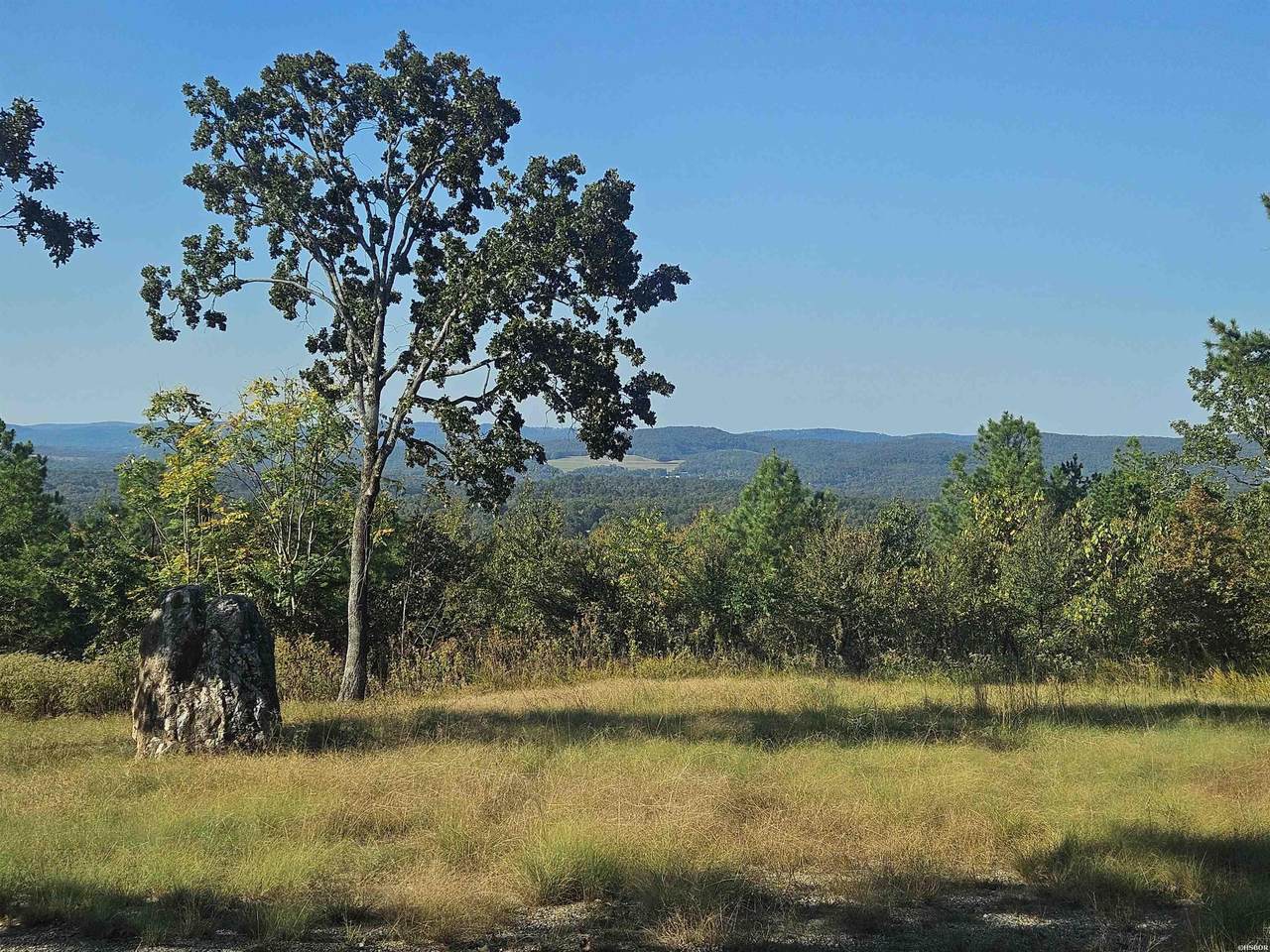 000 Hartshorn - Photo 1