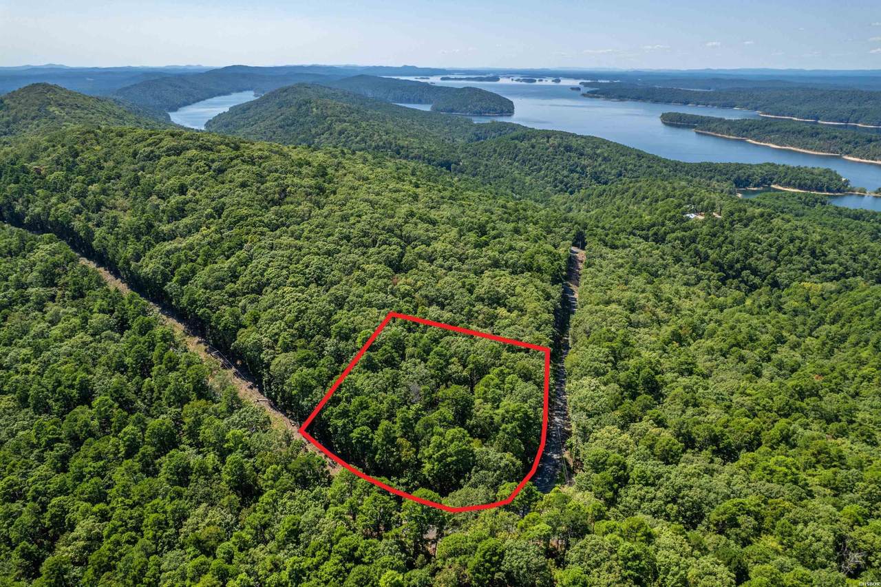 0 Lake Ouachita Trail - Photo 1