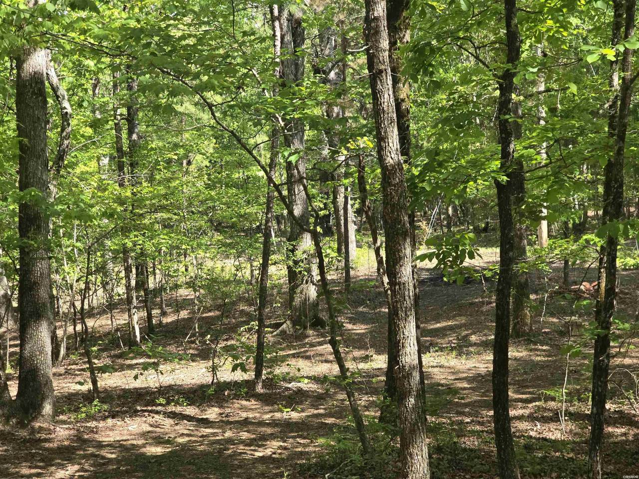 Lot 3305 Ohio Drive - Photo 1