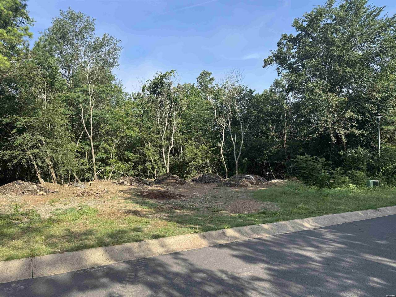 LOT 3 High Meadow Loop - Photo 1