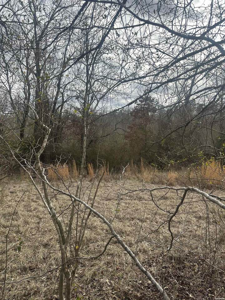 00G Walnut Valley Road - Photo 1
